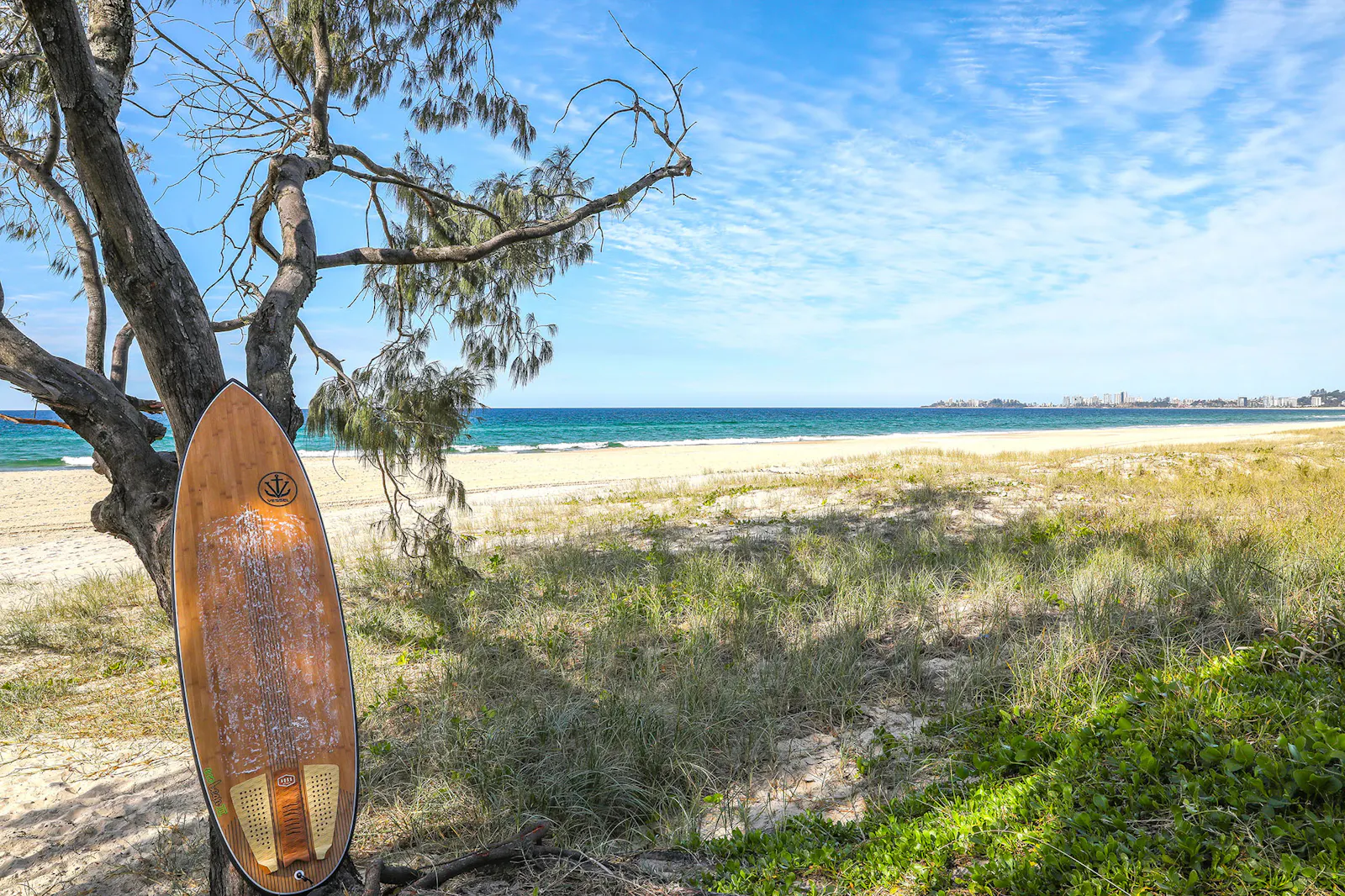 Surfboard against a tree on the dunes above Tugun Beach