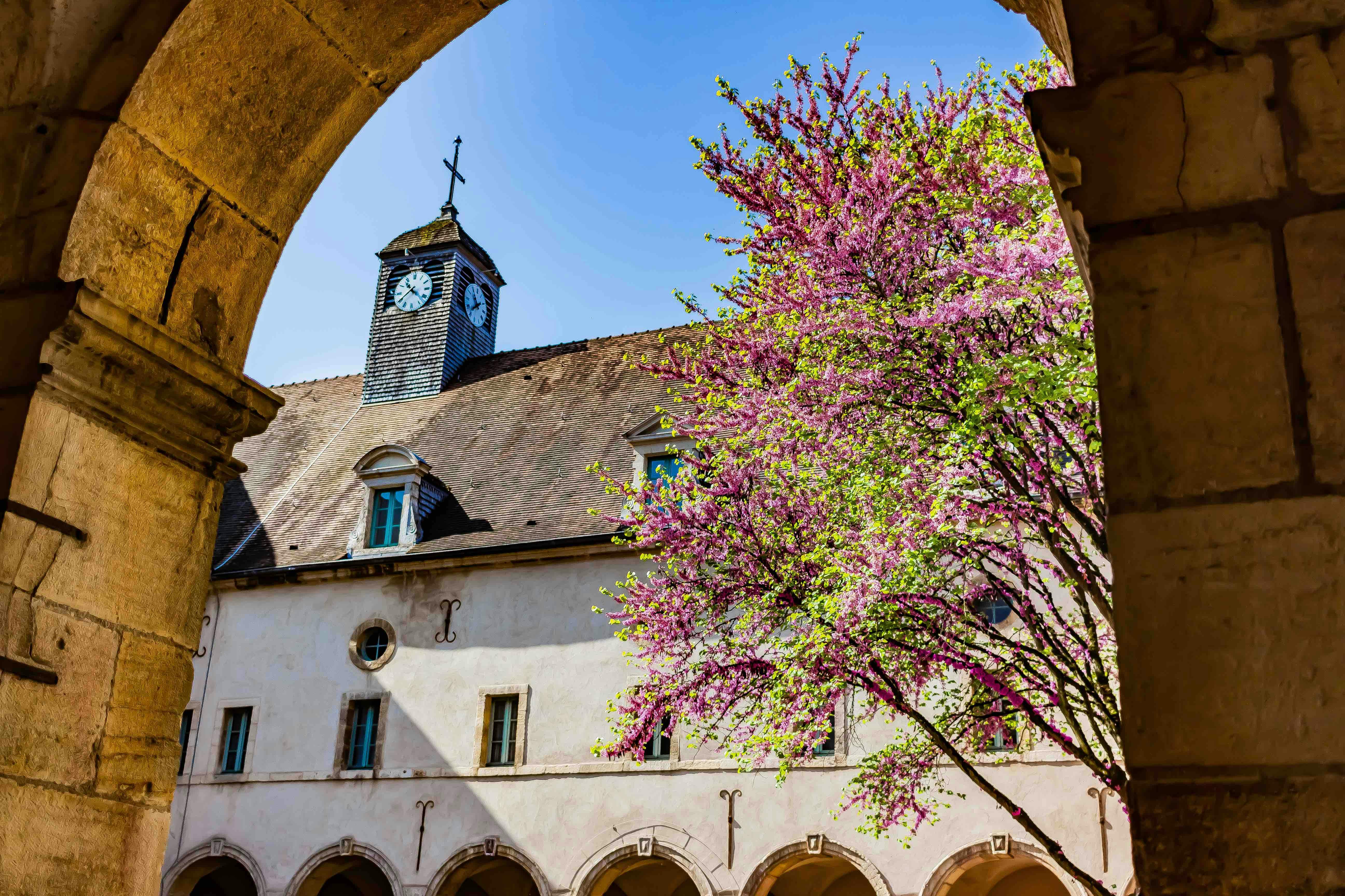Les musées incontournables de Dijon | Hôtel des Ducs