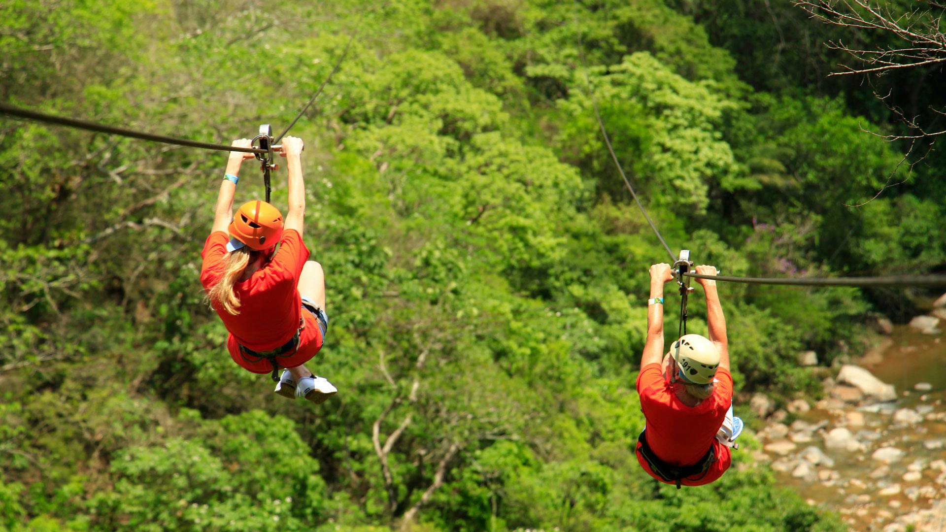 Zipline tours above the jungle