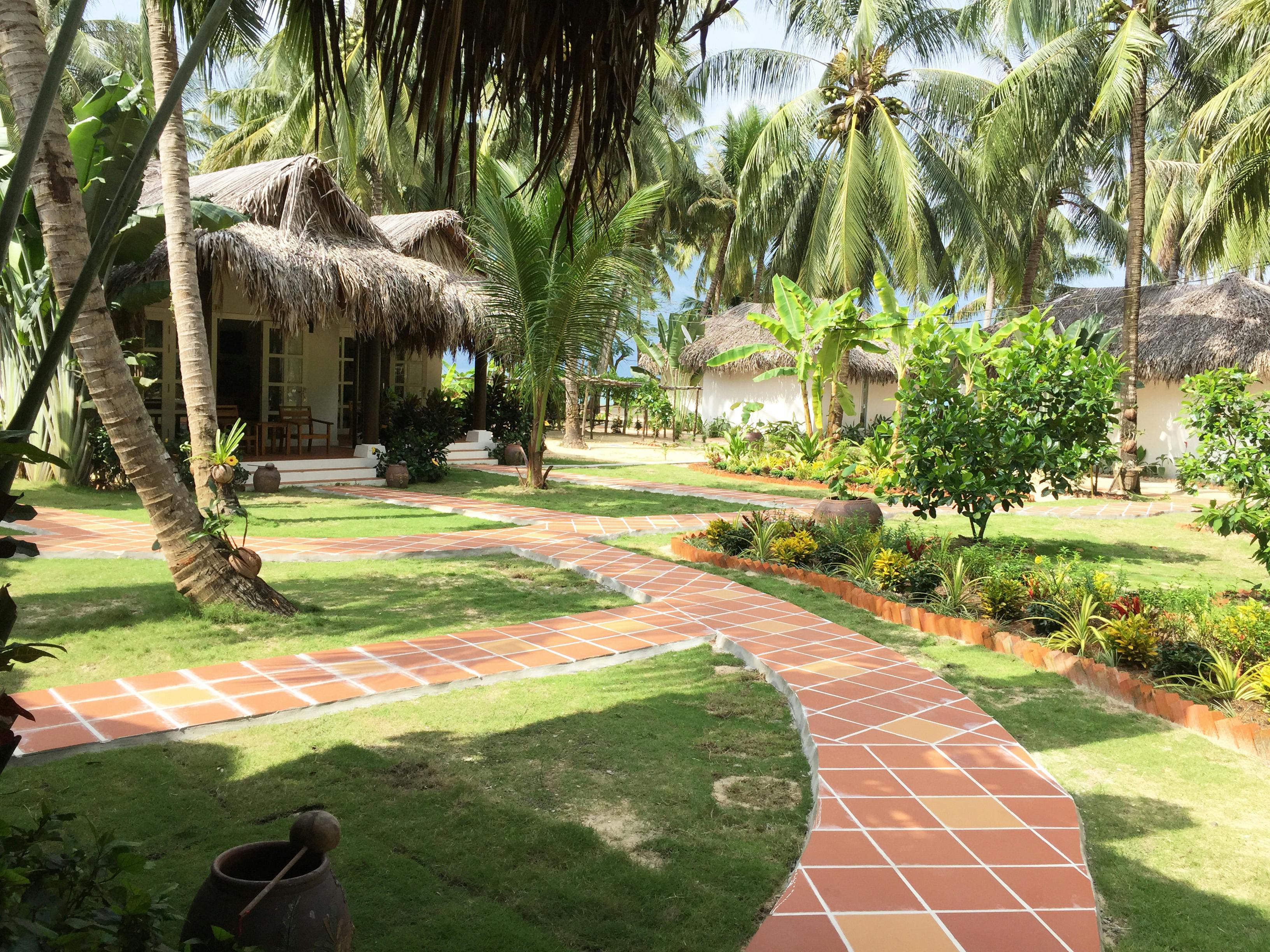 Garden Double View Pathways and Tropical Trees