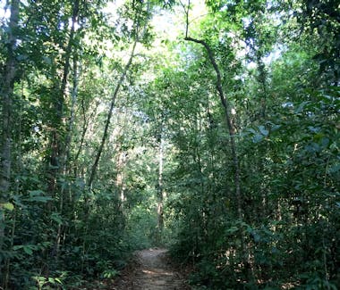 Phu Quoc National Park