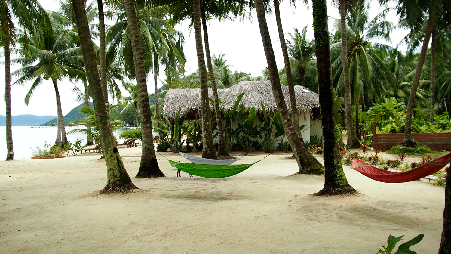 Phu Quoc Hammocks