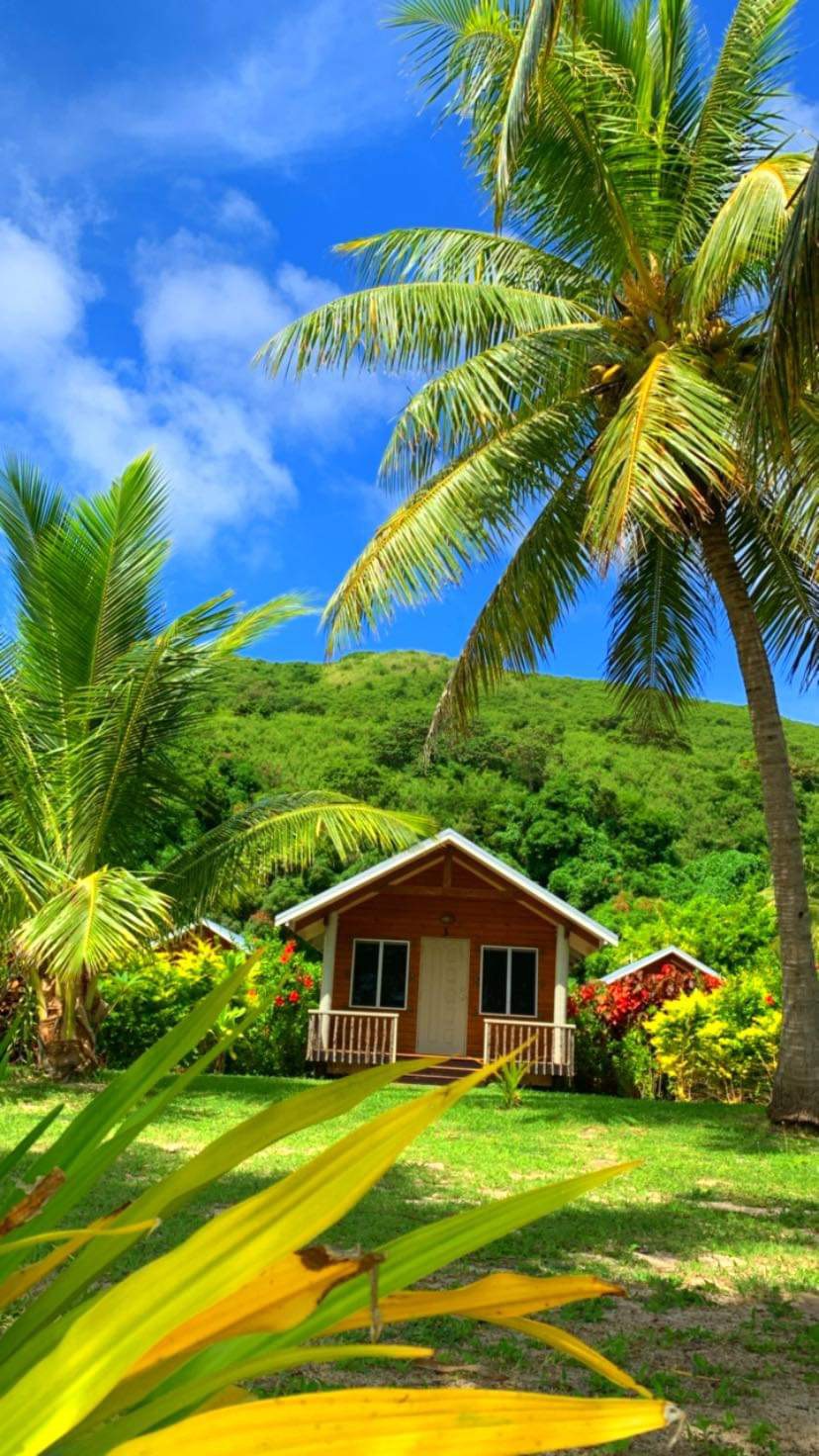 Beach Bure in the trees