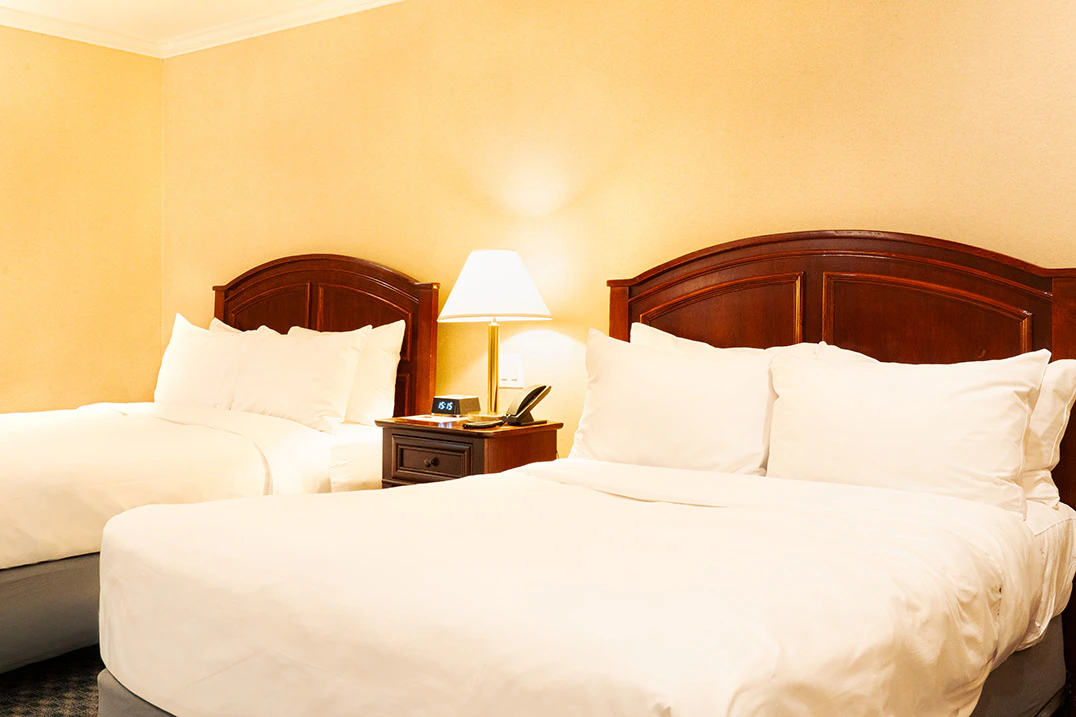 Hotel Stanford — photo 10 of 60