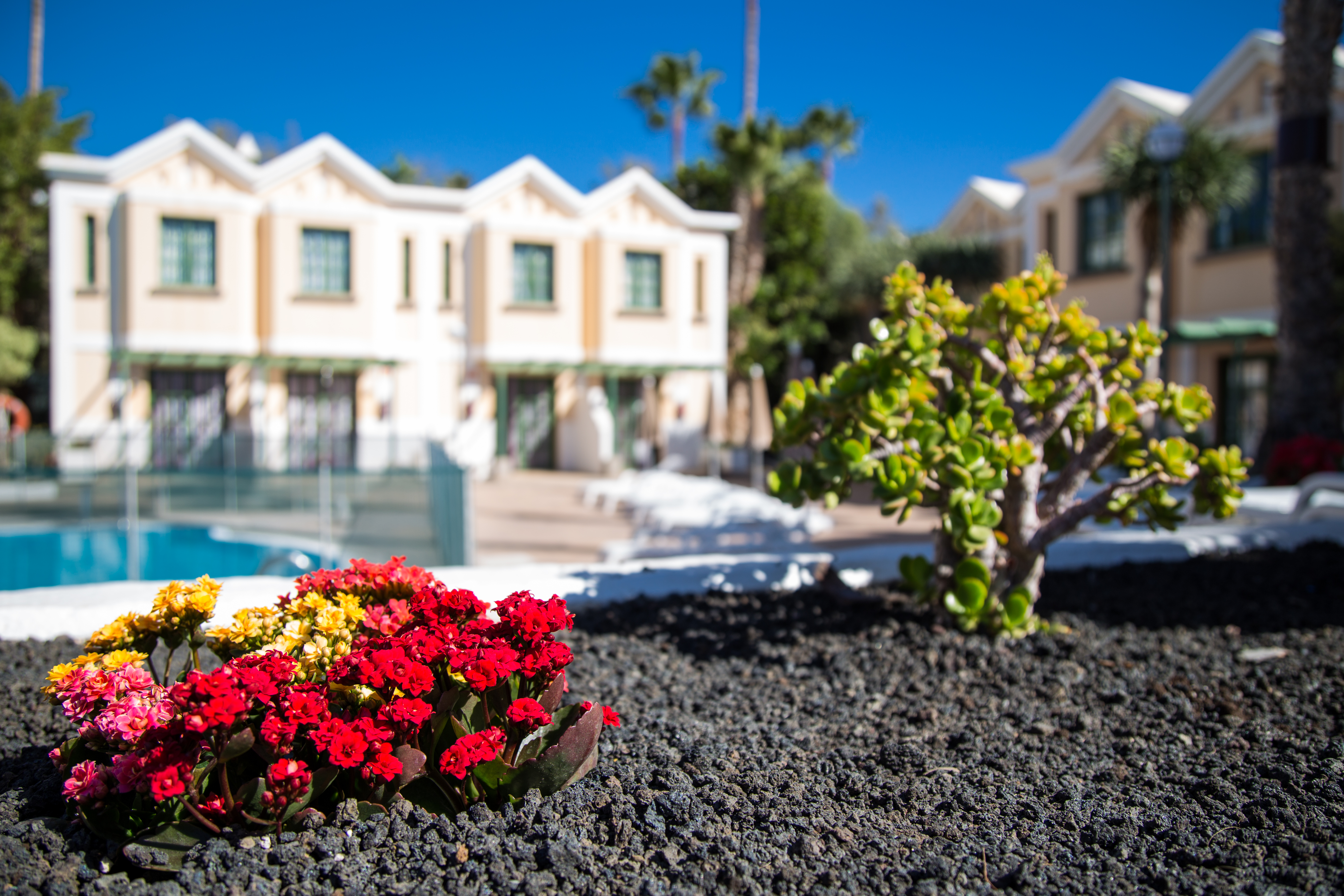 Complejo Sun Garden - Maspalomas