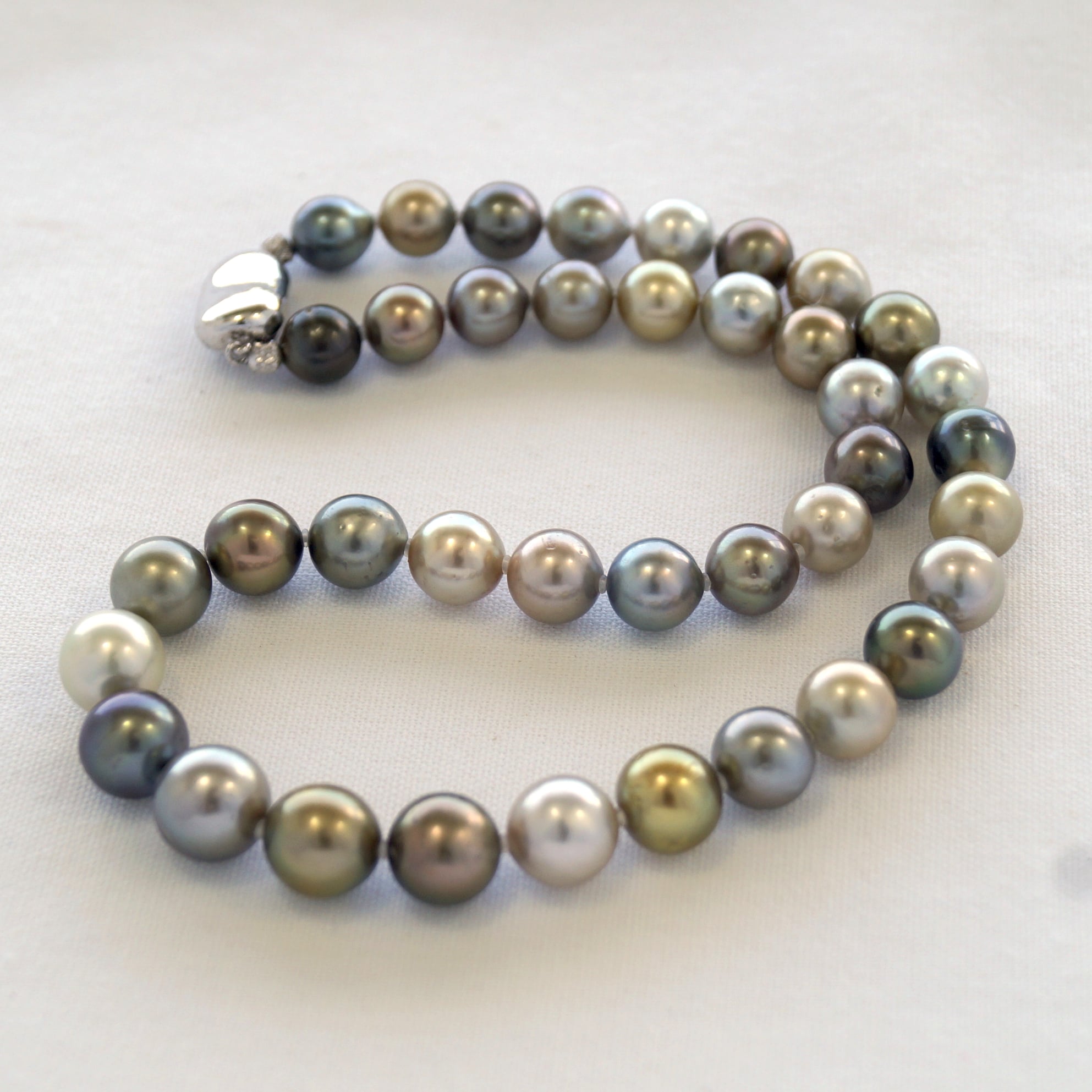 Civa Pearls Taveuni