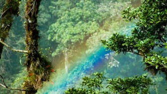 Nearby Attraction - Boquete Rainbow