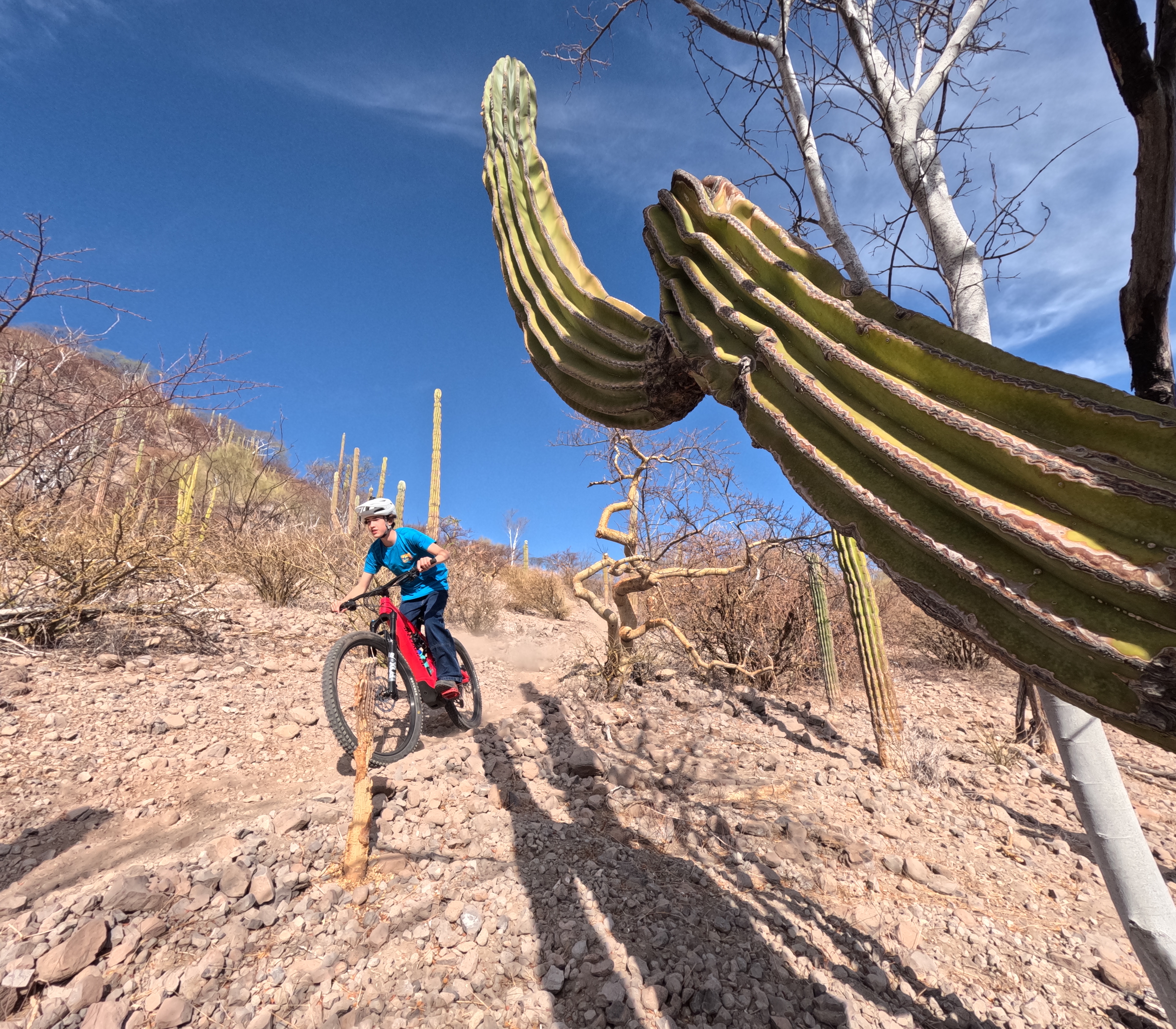 Mountain biking singletrack with Aventuras Tours Hotel in Loreto Bay