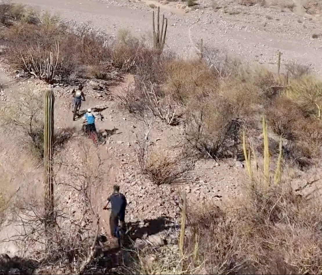 singletrack mountain biking ebiking with aventuras tours in Loreto Bay