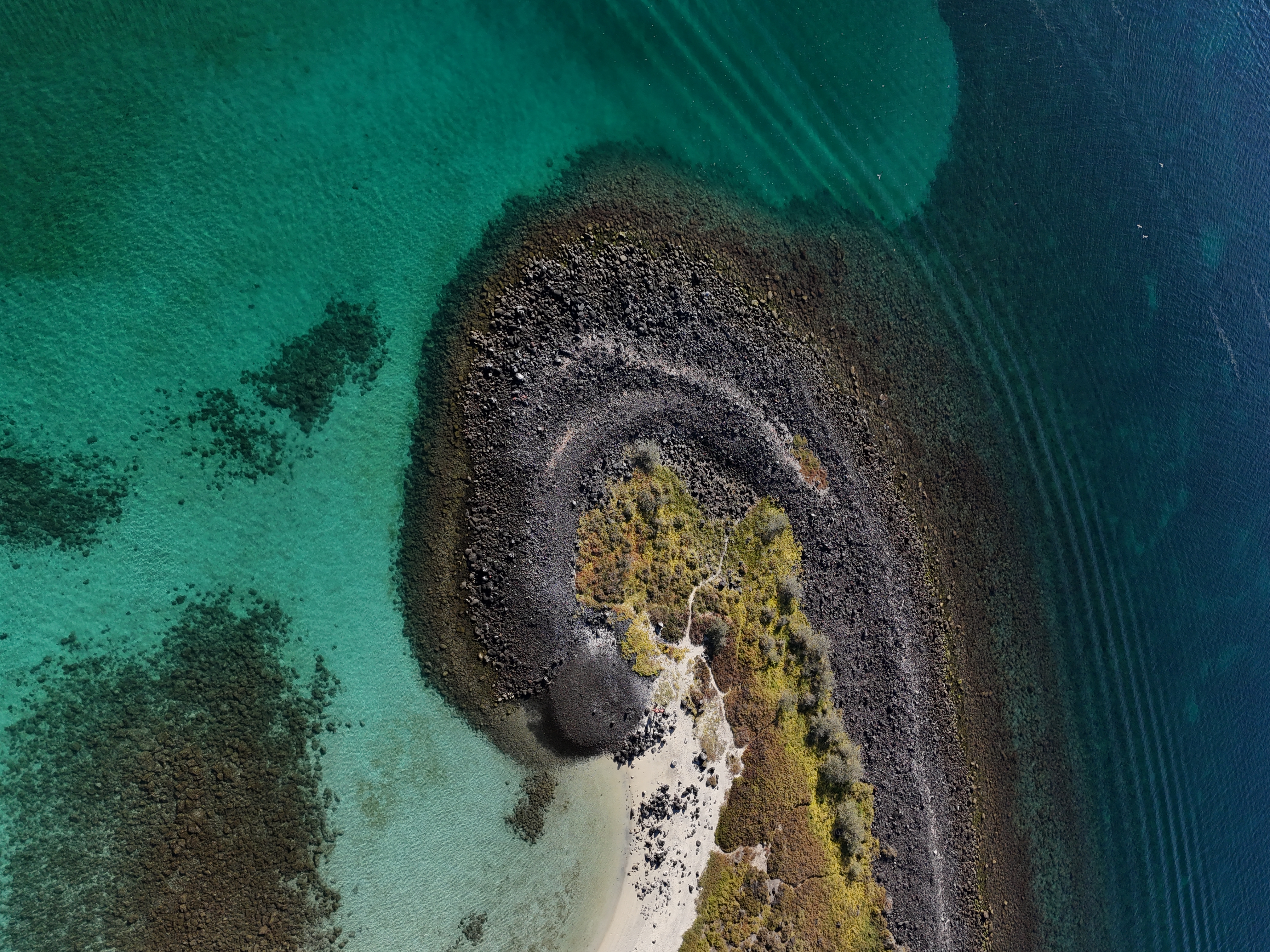 Coronado island tour with Hotel Aventuras