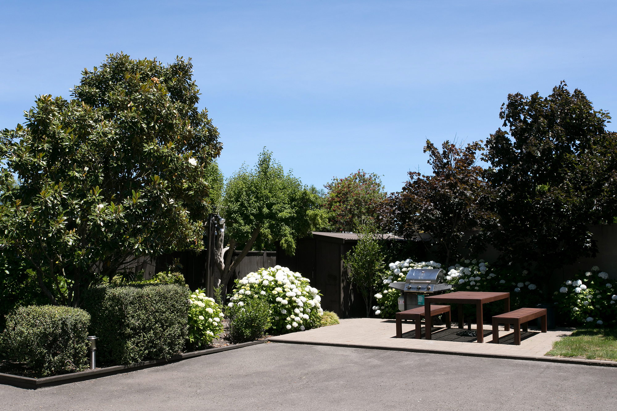 shared outdoor garden
