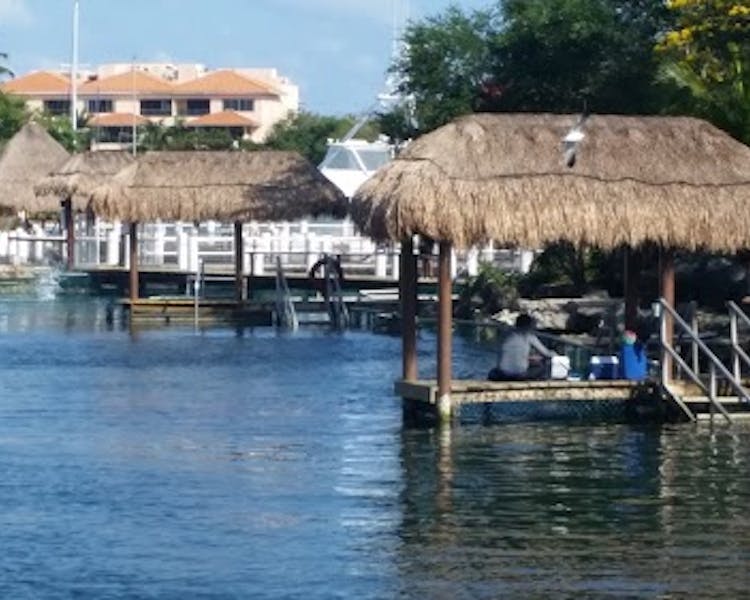 Puerto aventuras , riviera maya , delfinario