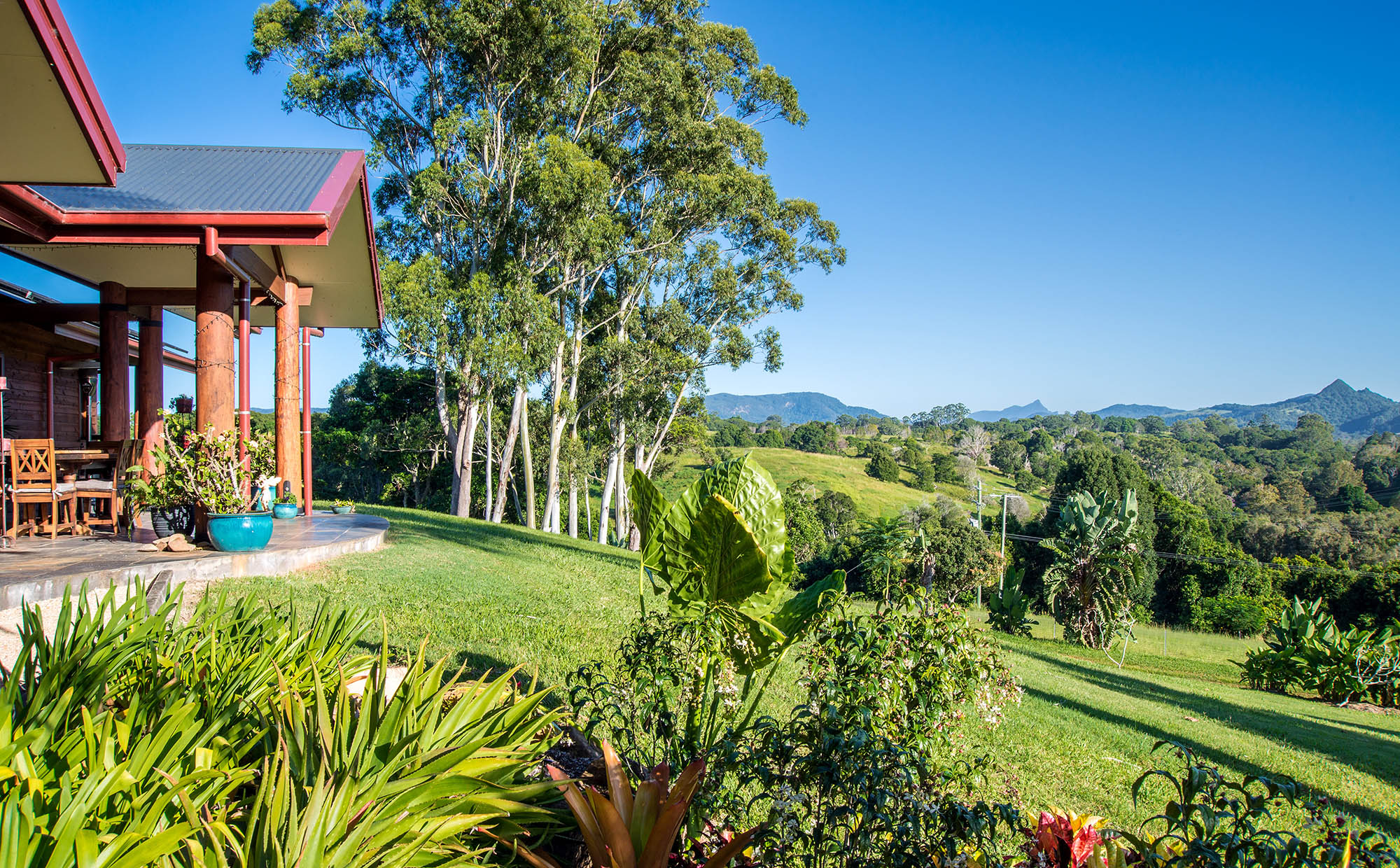 View to the Nightcap Ranges