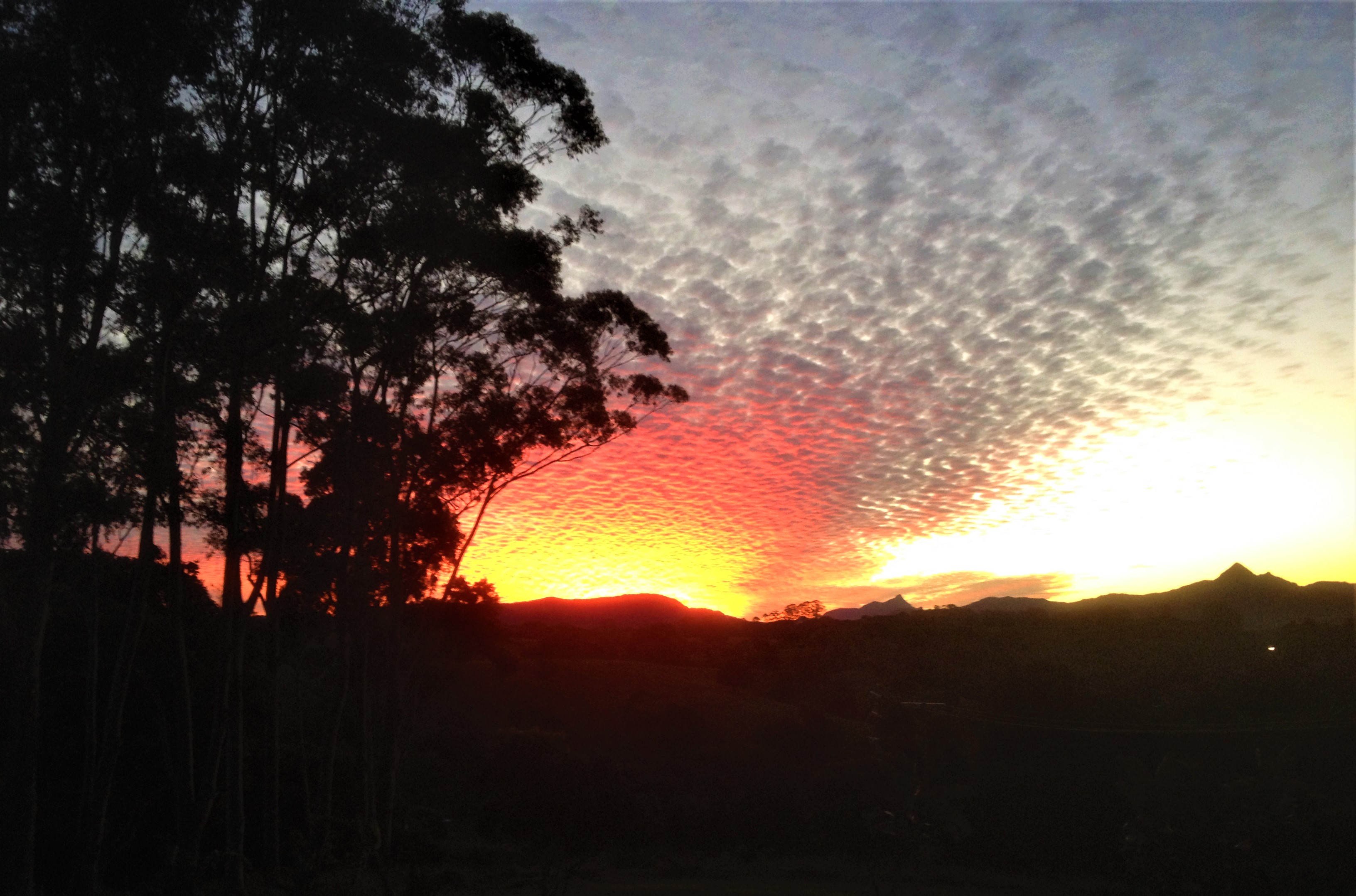 Sunset over the Nightcap Ranges