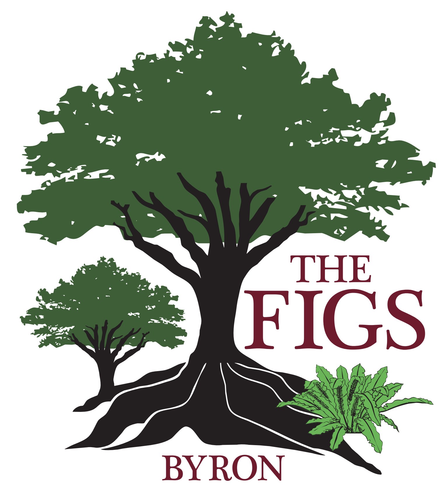 The Figs Byron