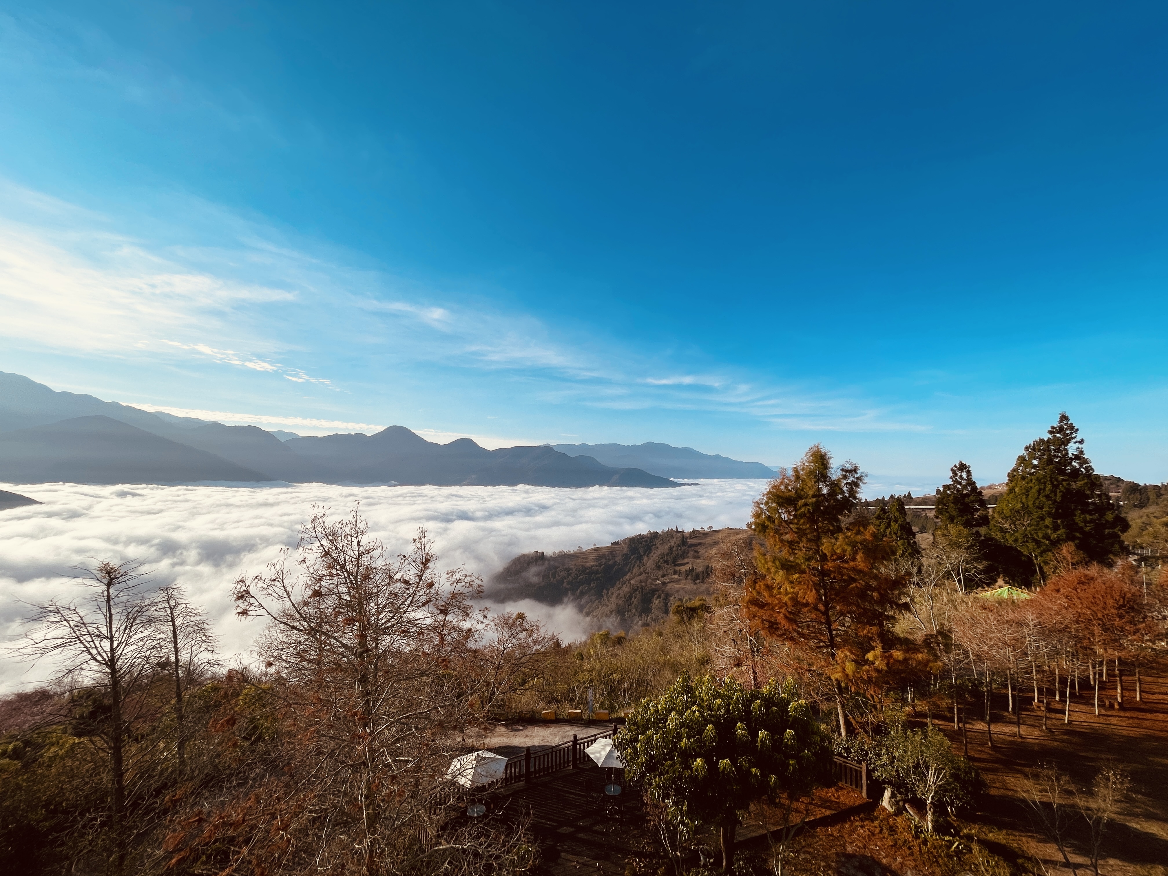 南投清境羊角村鄉村民宿 - 戶外庭院俯瞰青青草原山嵐