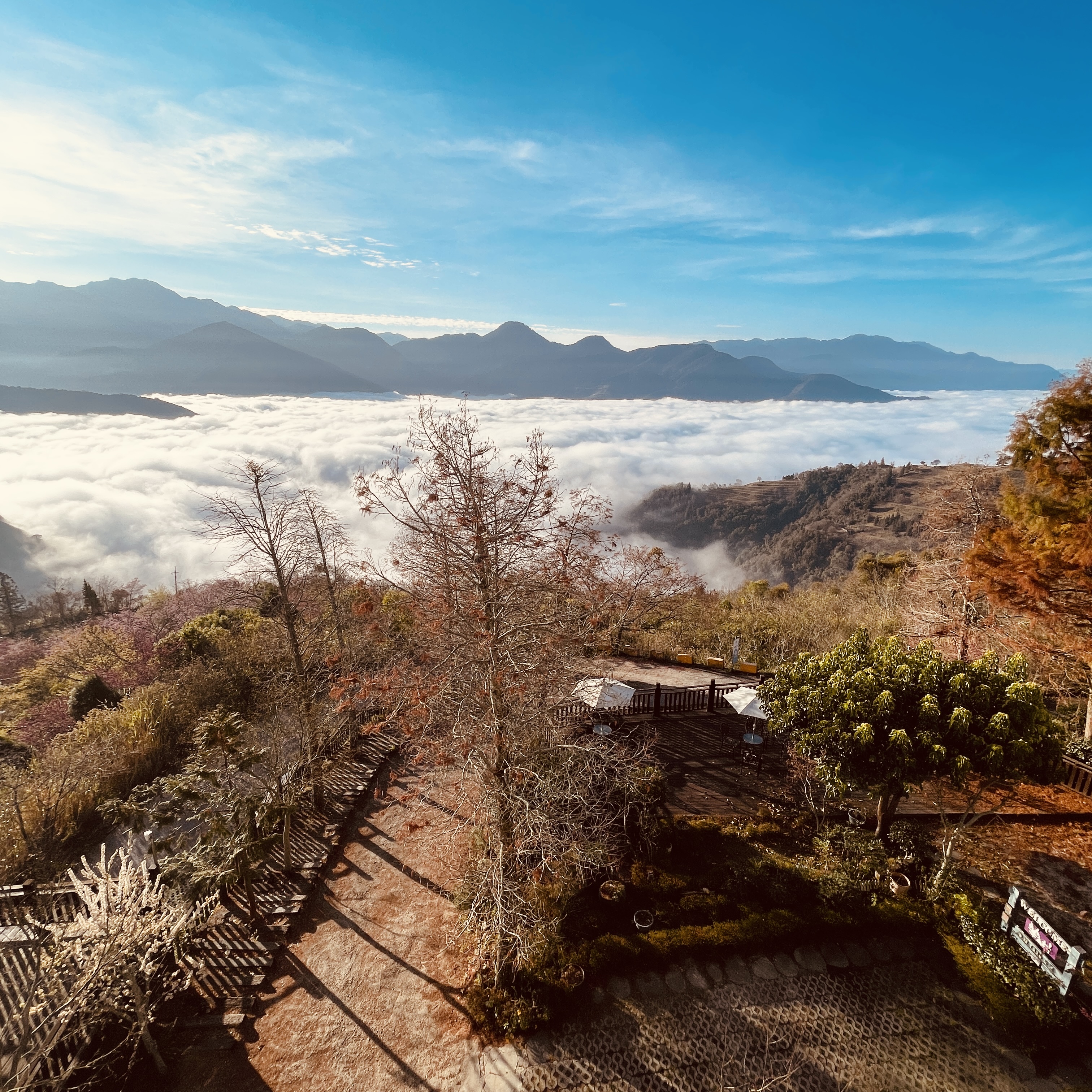 清境羊角村鄉村民宿 - 窗外遠眺清境農場高山雲海美景 南投清境羊角村鄉村民宿 - 戶外庭院俯瞰青青草原山嵐
