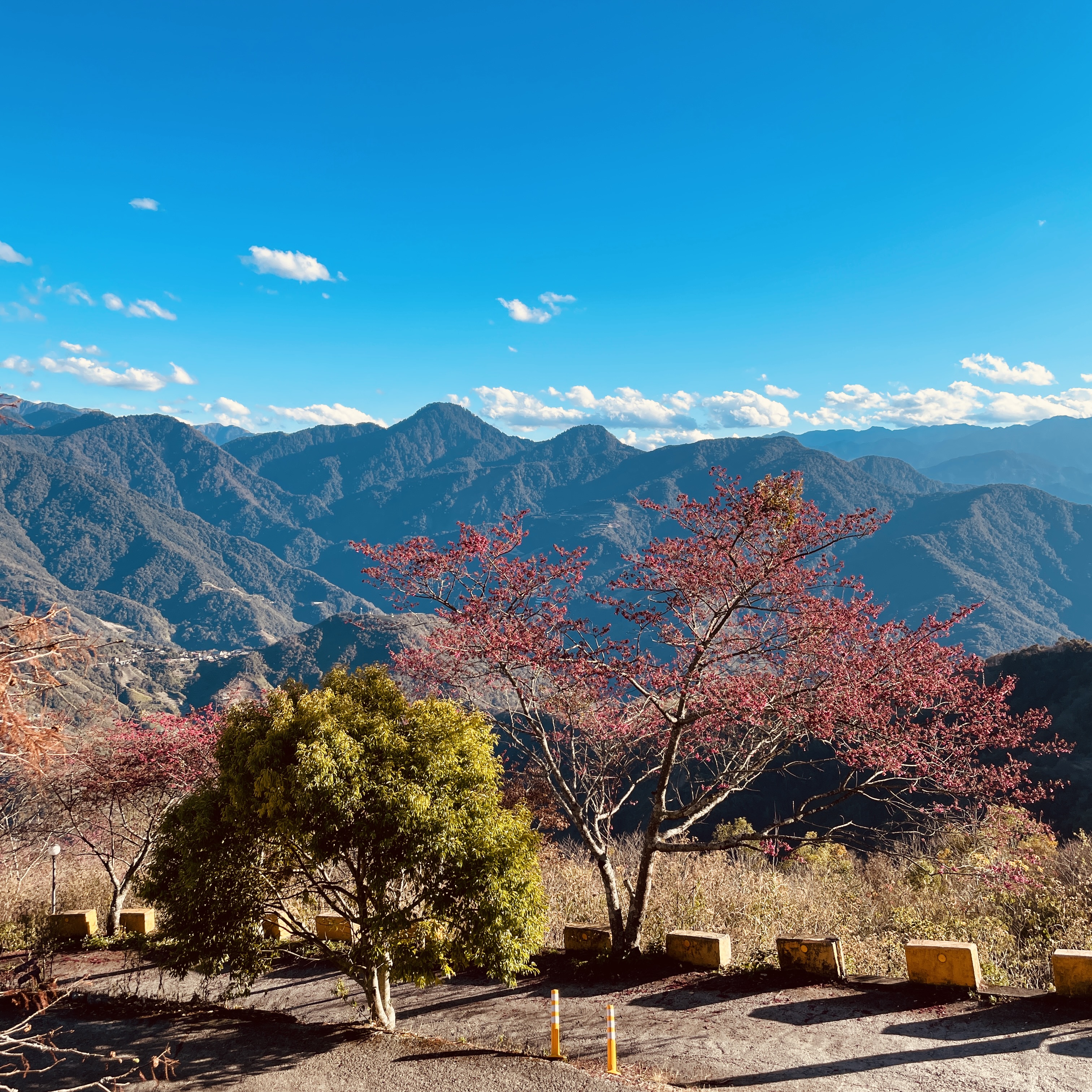 清境羊角村鄉村民宿 - 窗外遠眺清境農場高山雲海美景