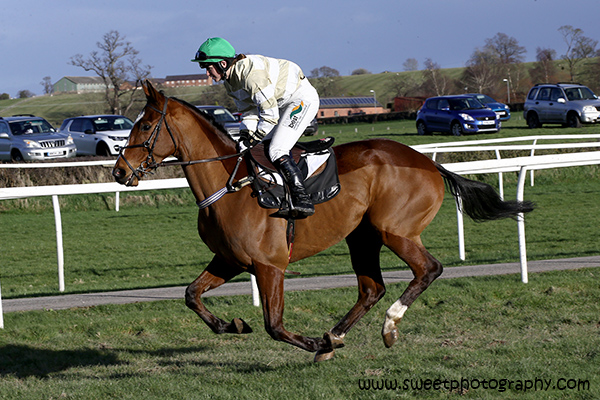 Middleham racehorses, The Wensleydale Hotel, Middleham, offers boutique accommodation in the heart of the Yorkshire Dales
