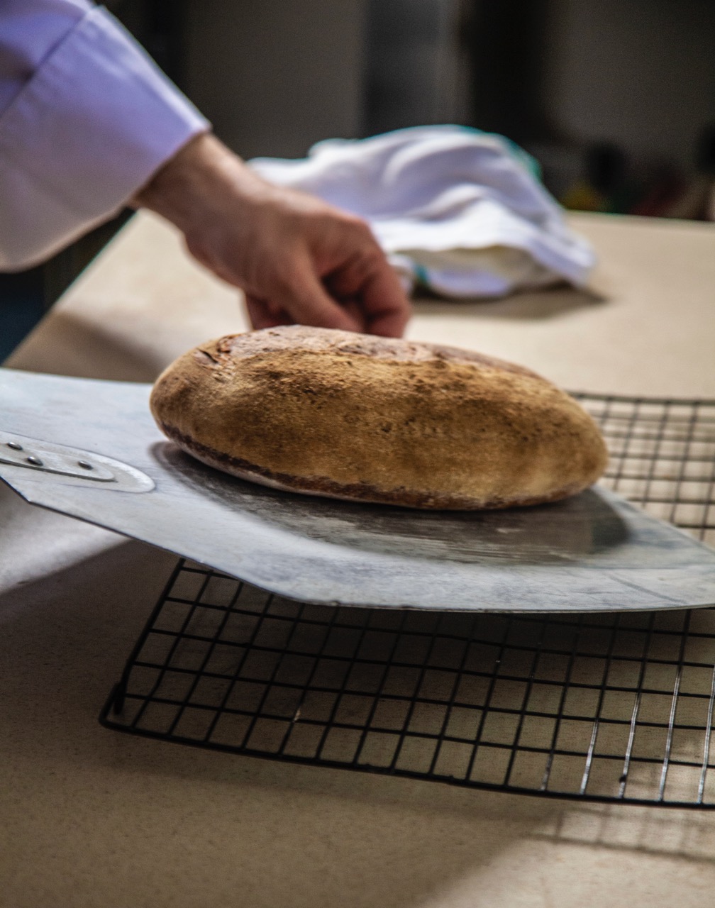 The Tack Room Restaurant & Bar, boutique continental dining in Middleham, Yorkshire Dales, high quality food and service