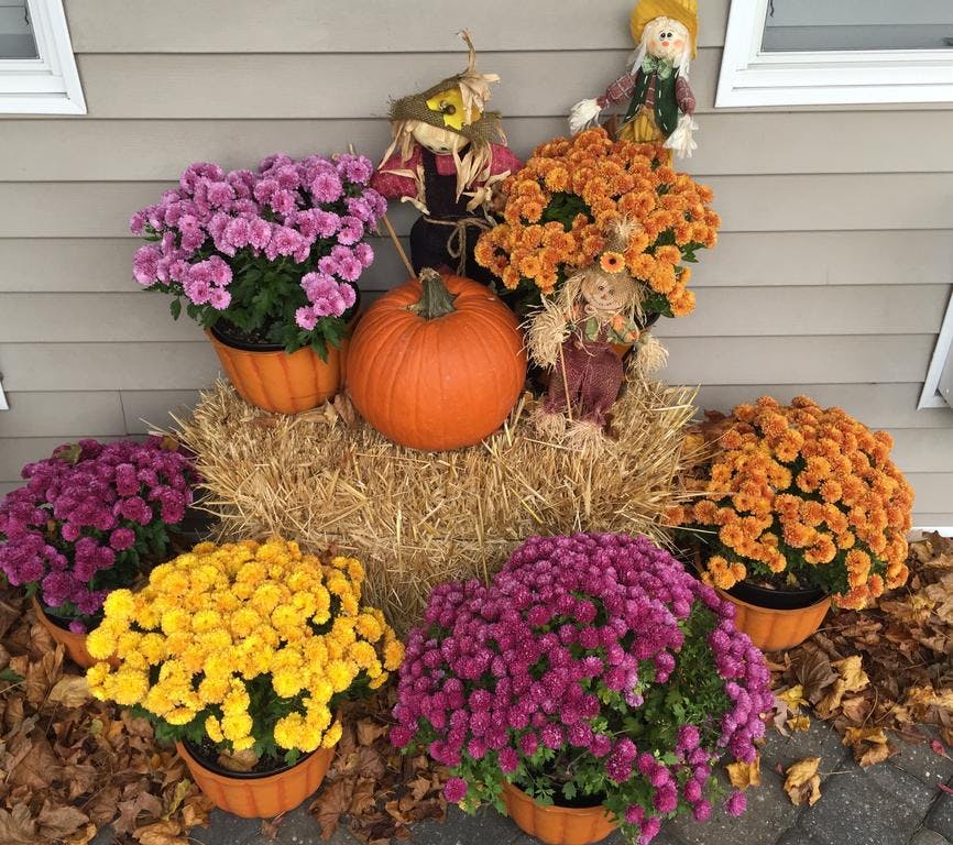 Home Westhampton Seabreeze Motel