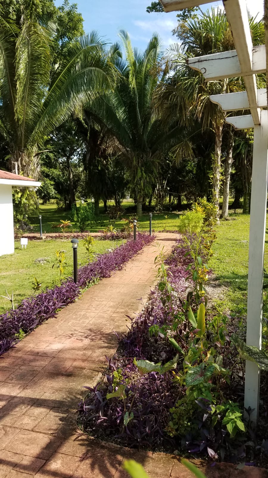 Walkway between Hibiscus Bungalow and Croton Bungalow