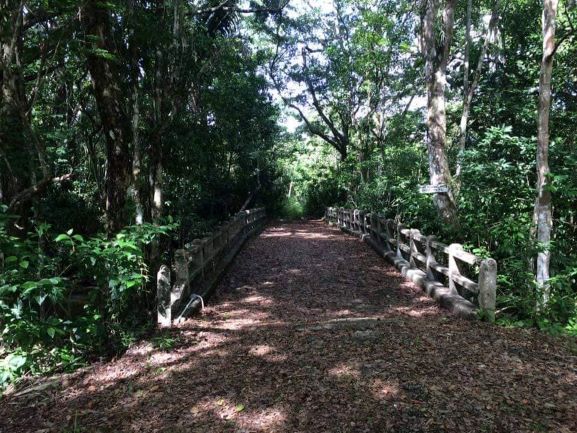 Mount Pleasant Creek bridge 1941- 1971 at Kiki Witz