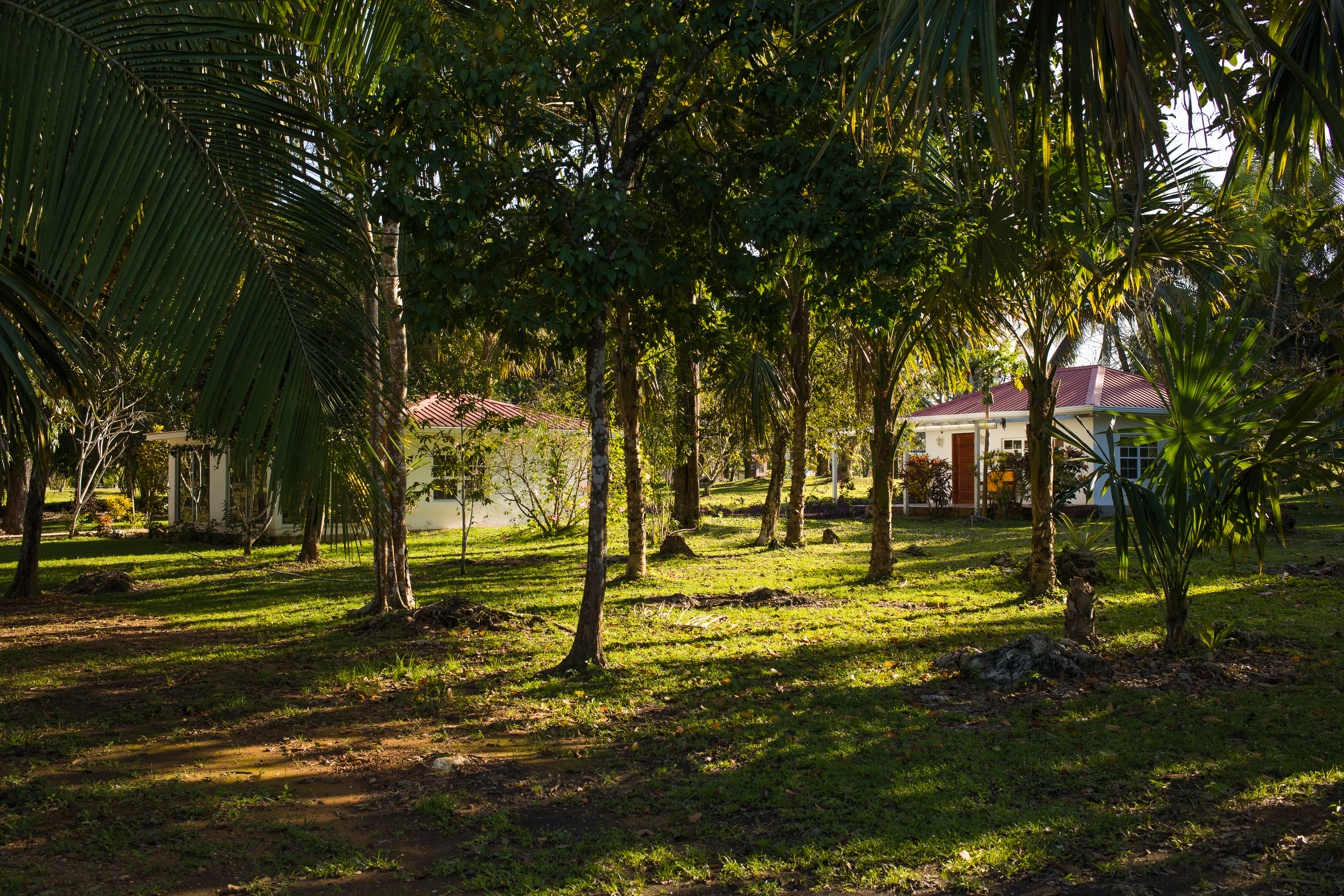 Kiki Witz - cabins in distance