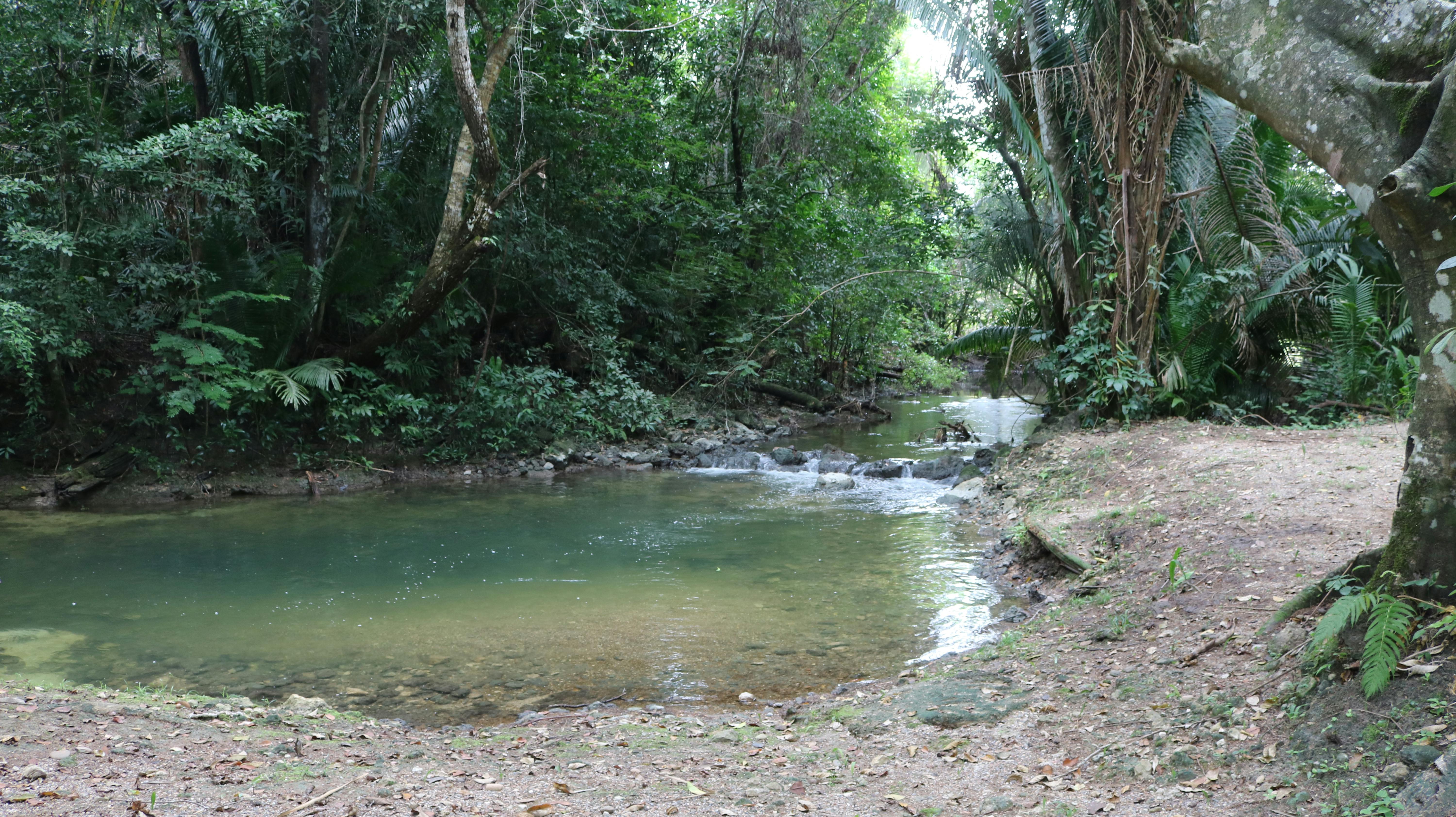 Mount Pleasant Creek behind Cohune Villa