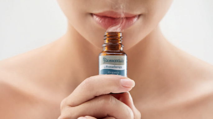 golden_palm_tree_LIN_spa