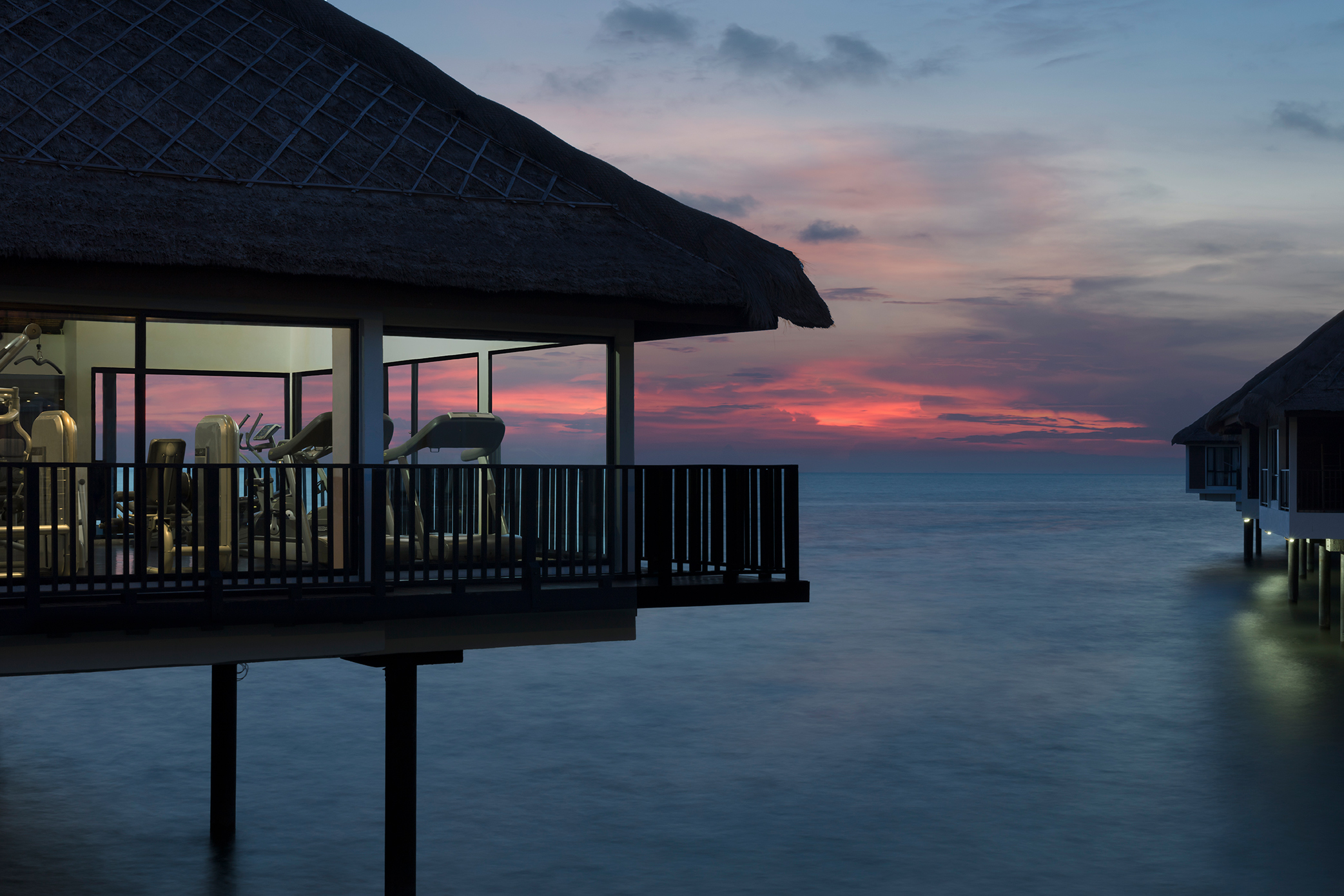 golden_palm_tree_gym