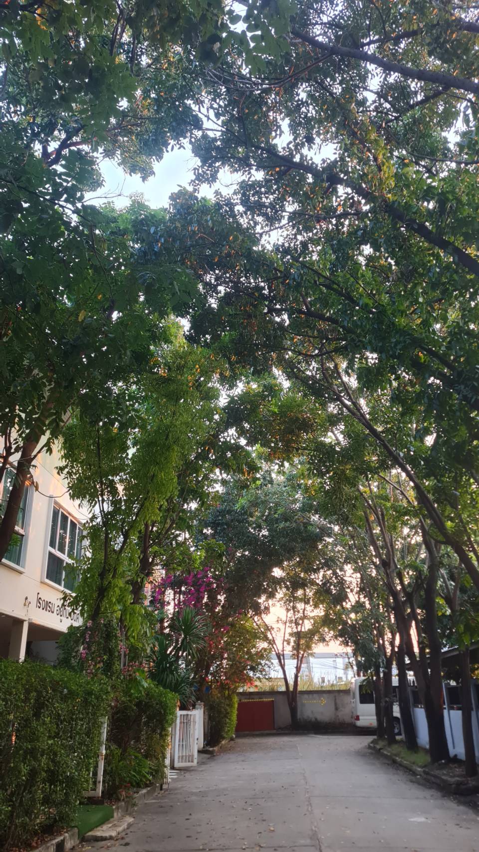 Tropical garden pathway at U Tiny Boutique Hotel near Suvarnabhumi Airport