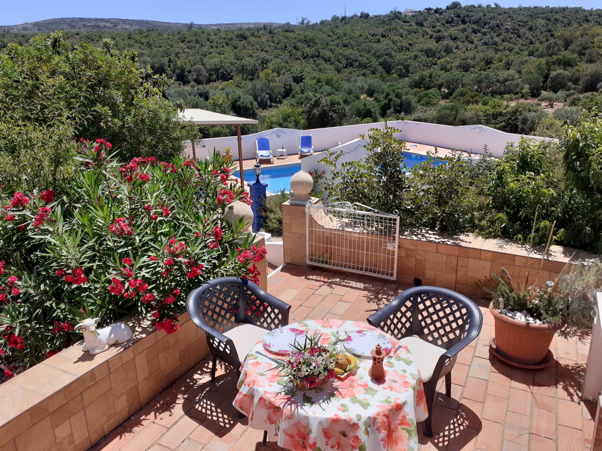 villa-romao-a-pearl-in-the-hills-algarve
