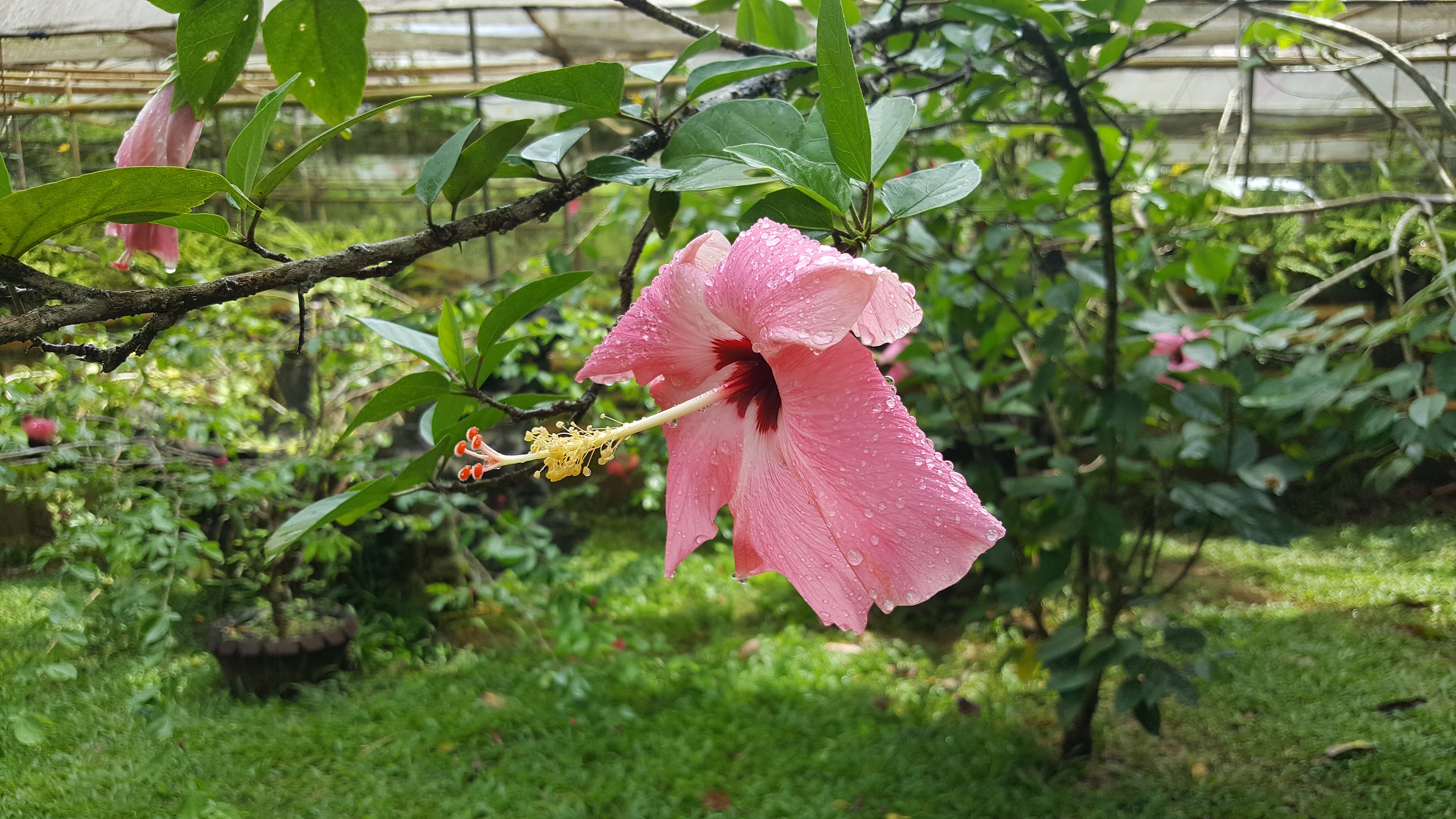 Home Sheridan Organic Farm And Eco Village - 