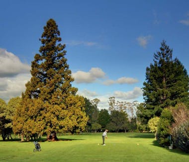 Mercury Bay Golf Club