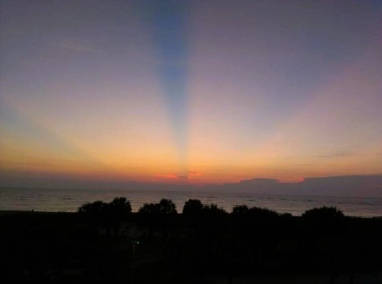 a sunset over the ocean with trees in the foreground