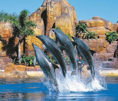 Sea World attraction in Gold Coast, Queensland, Australia
