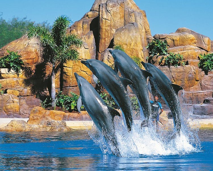 Sea World attraction in Gold Coast, Queensland, Australia