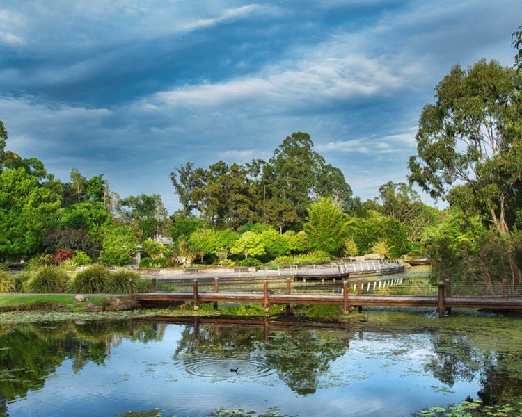 Gold Coast Regional Botanic Gardens, attraction queensland, australia