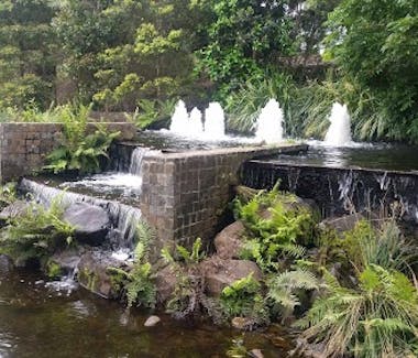 Gold Coast Regional Botanic Gardens attraction, gold coast, queensland, australia