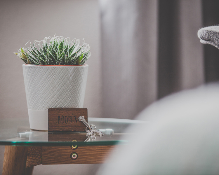 A cactus stand on a glass table and the room key is in front of it