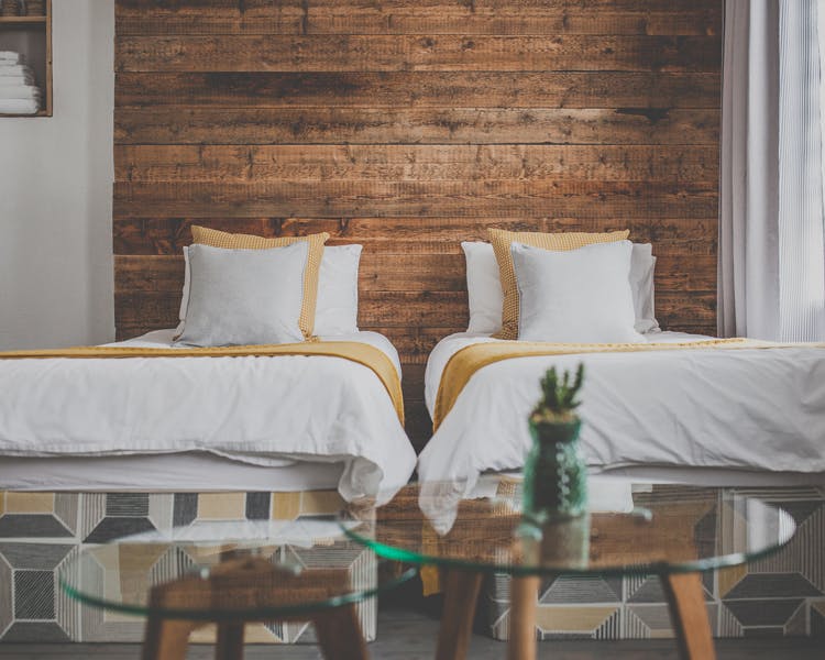 Two beautifully decorated single beds standing in front of a DIY wooden wall. Two glass tables with a cactus in front
