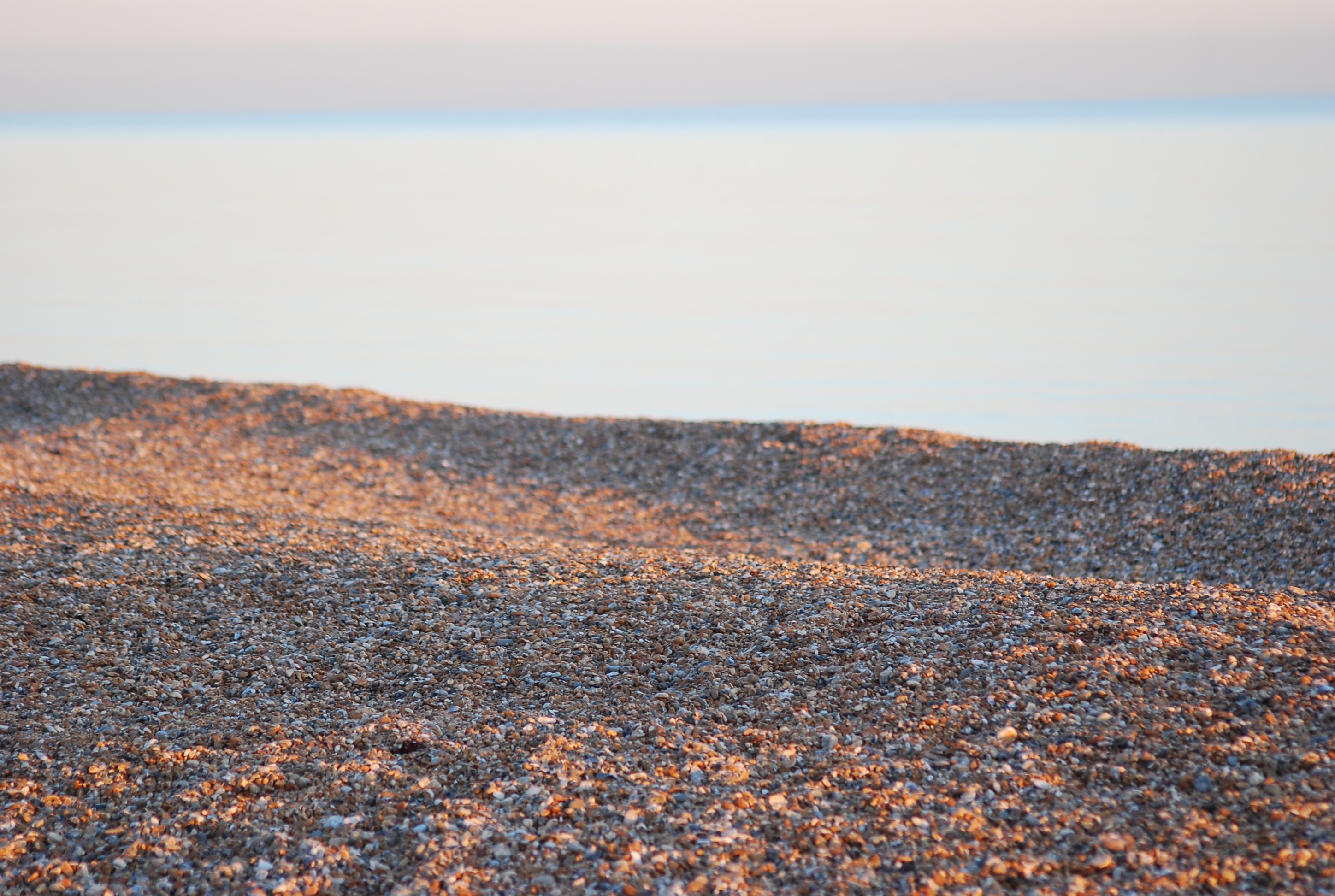 Shadows on the beach