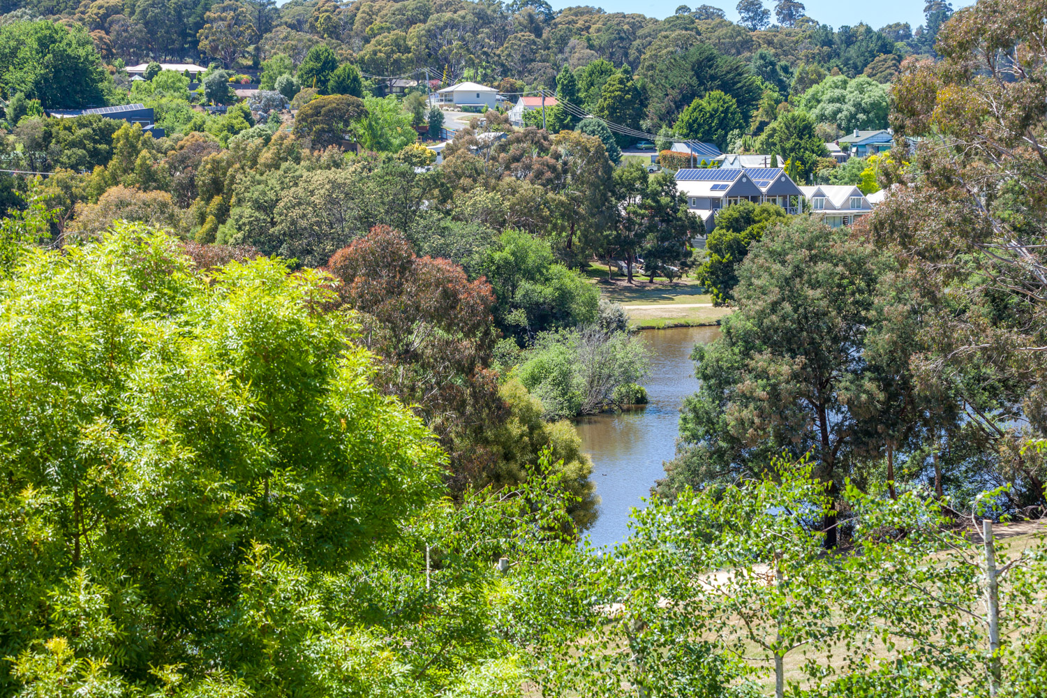 Lake Daylesford view