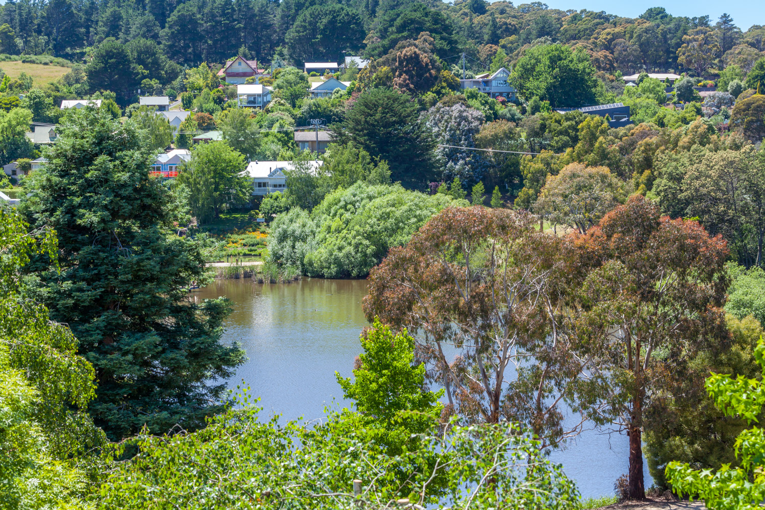 Lake Daylesford view