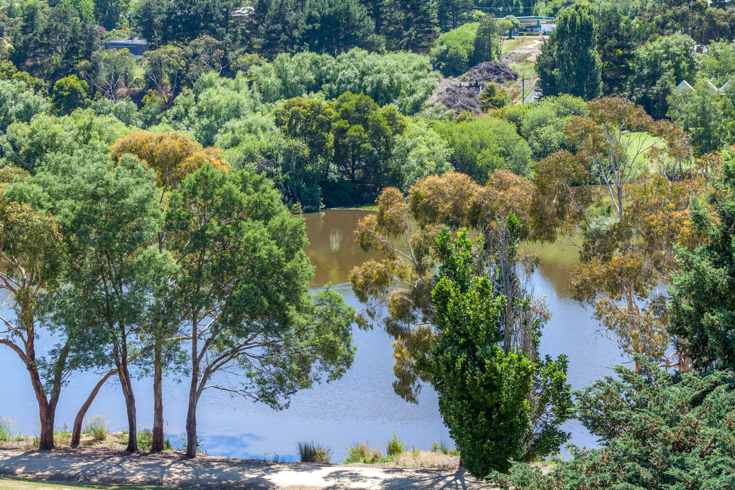 View over Lake Daylesford
