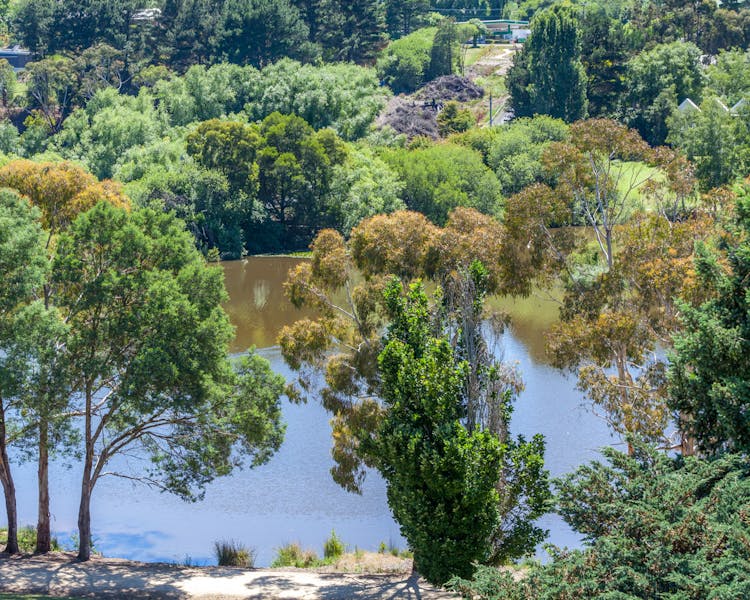View over Lake Daylesford