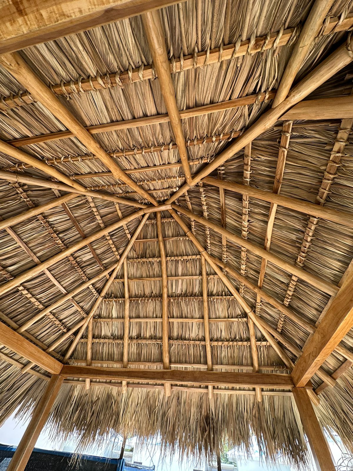 Techo de Rancho, zona común