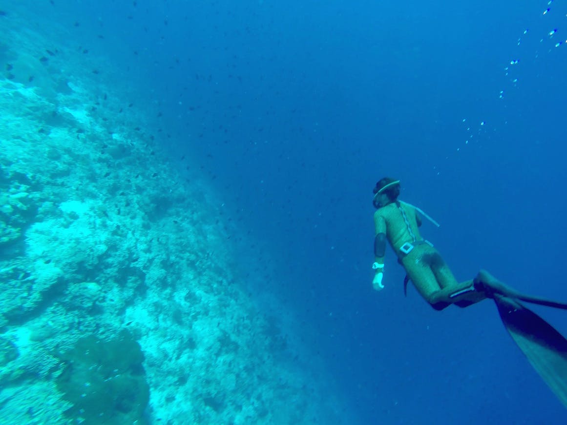 Diving Bara Beach Bungalows