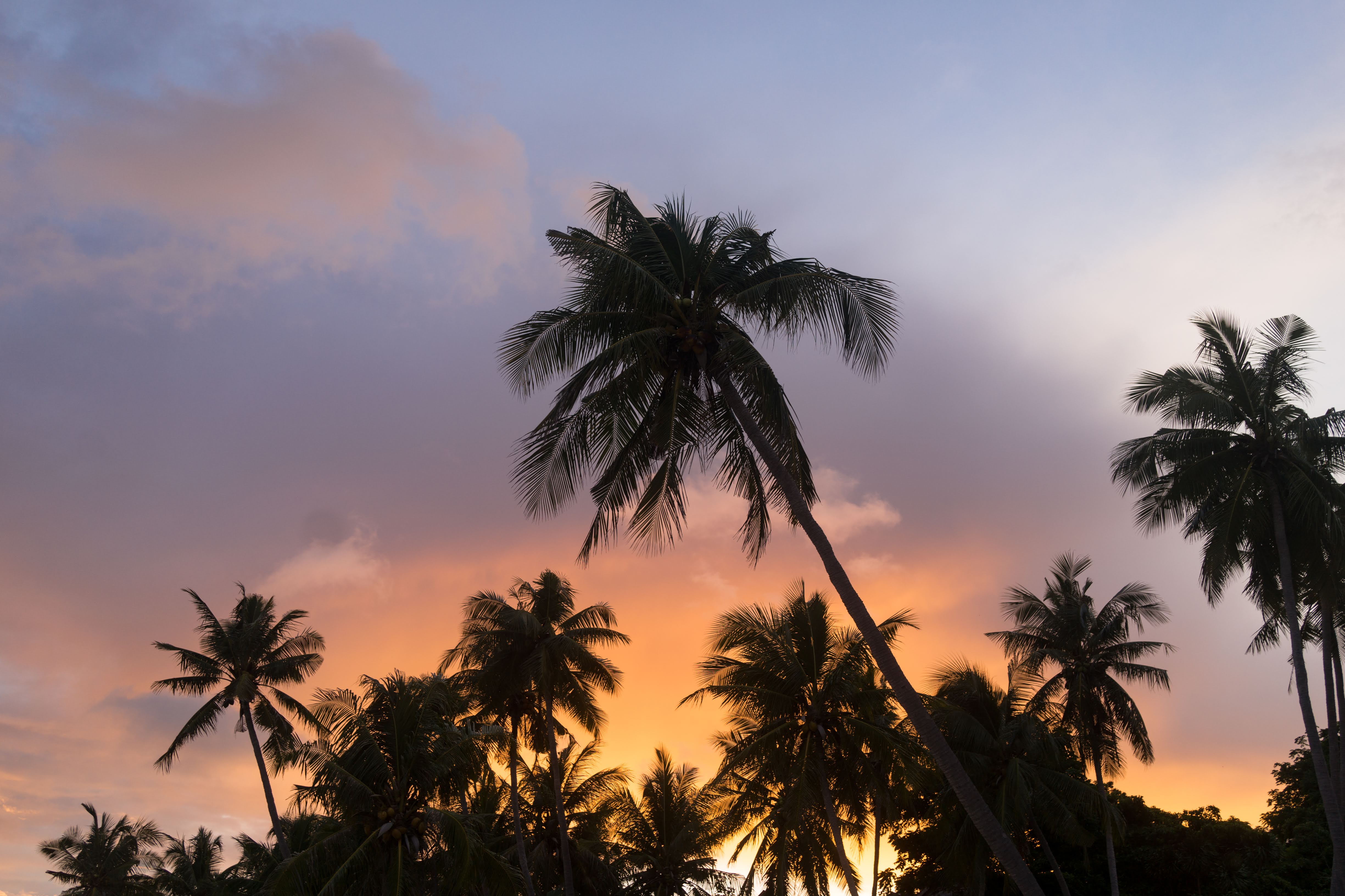 Home | Bara Beach Bungalows